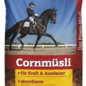 51wLGXWnkpL. AC .jpg