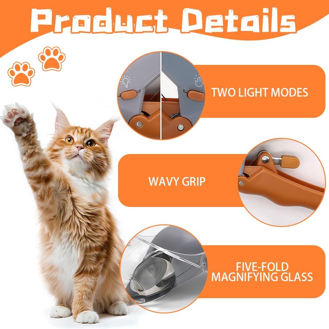 610HU9Auj8L. AC SL1100 .jpg