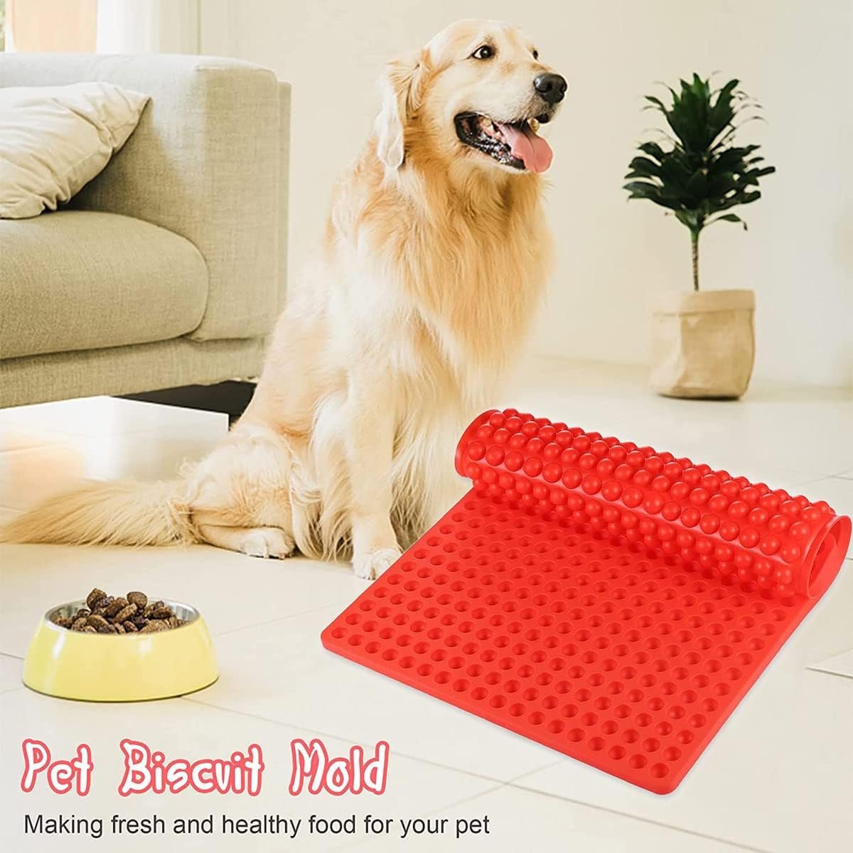 613QritSvzL. AC SL1200 .jpg