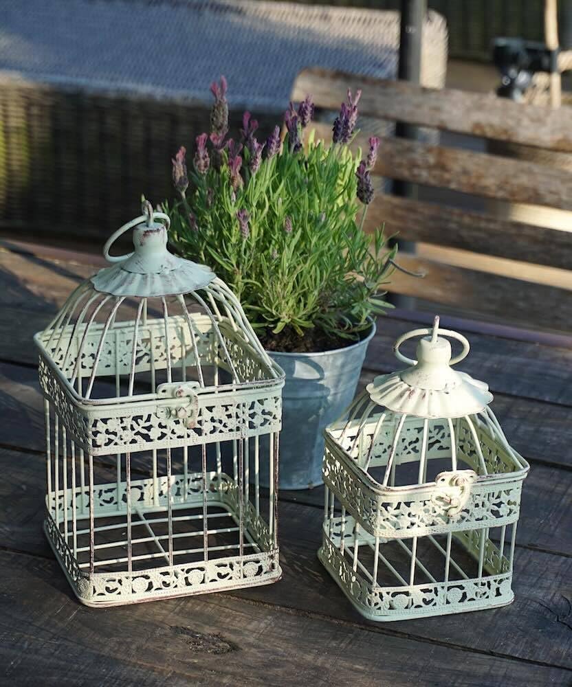 6146oHNifBL. AC SL1000 .jpg