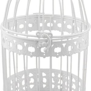 61PJjh2V 0L. AC SL1200 .jpg