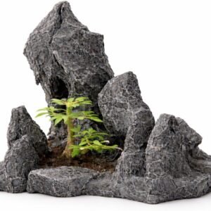 61PUIEOTpL. AC SL1024 .jpg