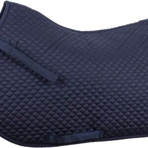 61Rzw1t gqL. AC SL1000 .jpg