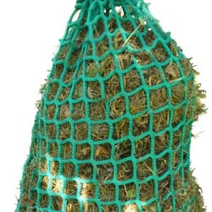 61UHLHeTGL. AC SL1000 .jpg