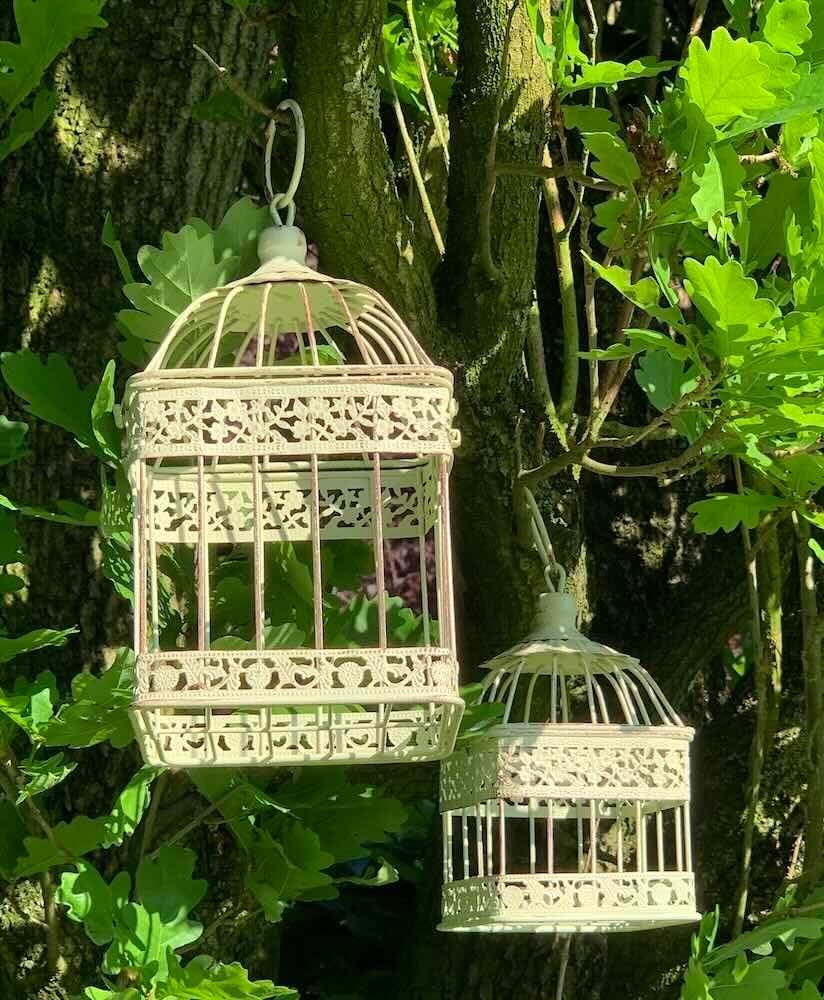 61YLlIDtshL. AC SL1000 .jpg