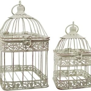 61ZEeDVFrfL. AC SL1000 .jpg