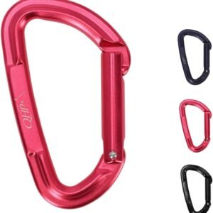 61cbc45606L. AC SL1280 .jpg