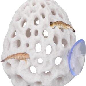 61ekQW47JRL. AC SL1500 .jpg