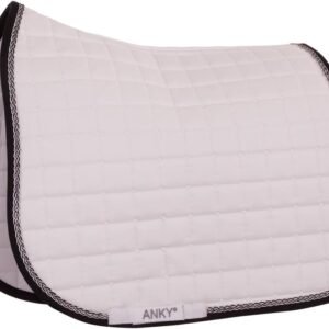 61kGvDT2sL. AC SL1000 .jpg