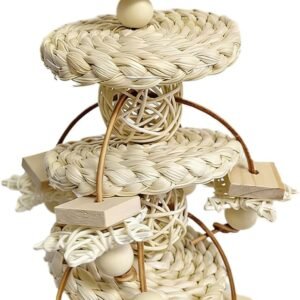 61nwbO72EpL. AC SL1500 .jpg