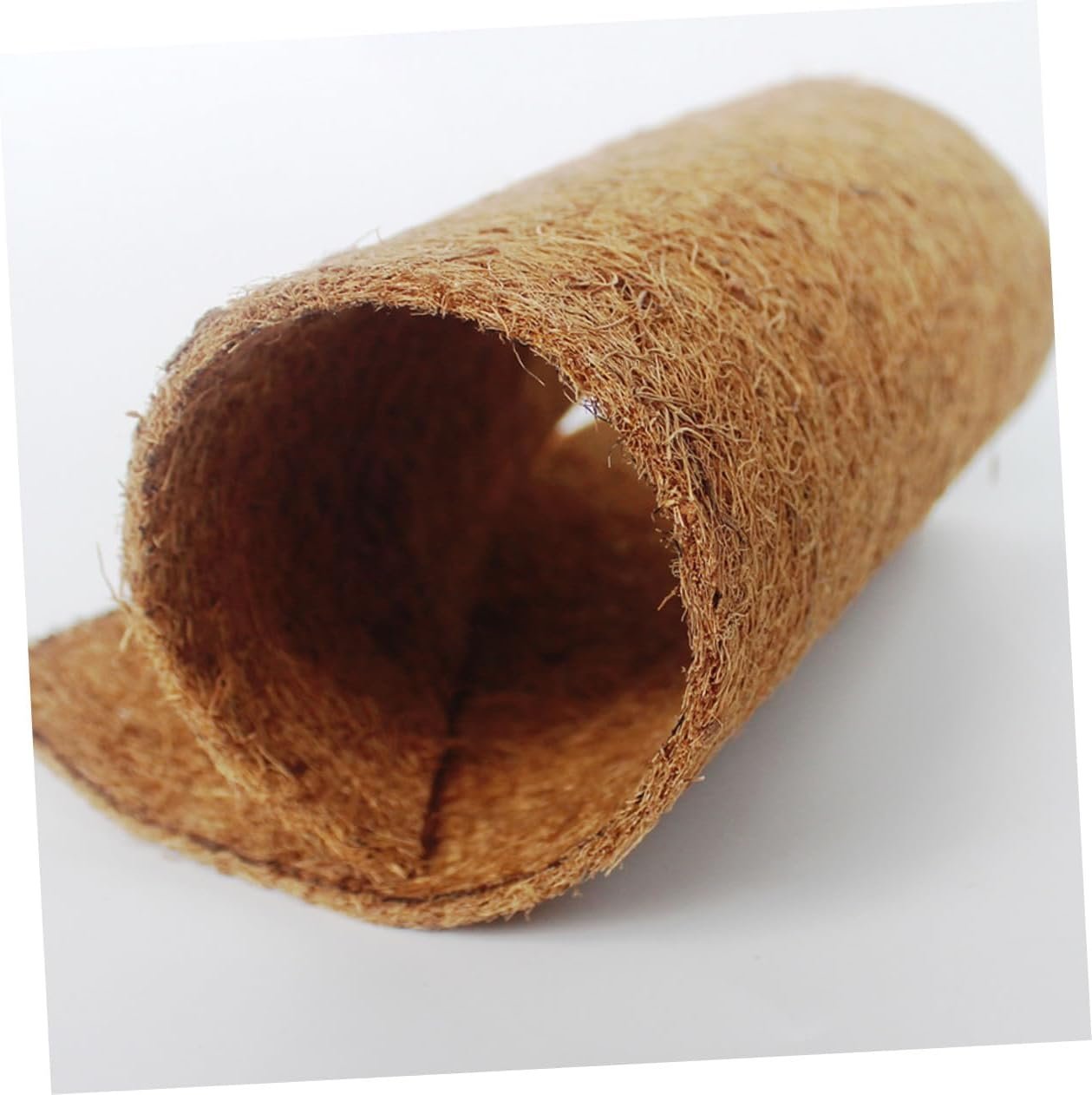 61rUSYOWP2L. AC SL1262 .jpg