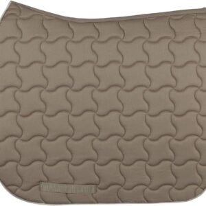 61sgcZj6ClL. AC SL1000 .jpg