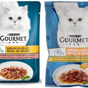 61uPN v5rPL. AC SL1001 .jpg