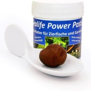 61wAsqsjBnL. AC SL1500 .jpg