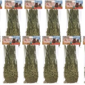 61z51xWxcfL. AC SL1107 .jpg