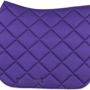 61zBQaihfL. AC SL1000 .jpg