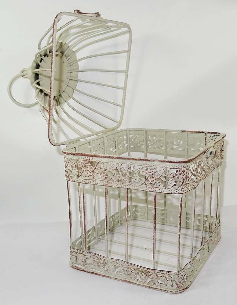 61zyA1czApL. AC SL1000 .jpg