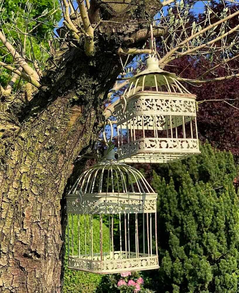 71 2 a0ROXL. AC SL1000 .jpg