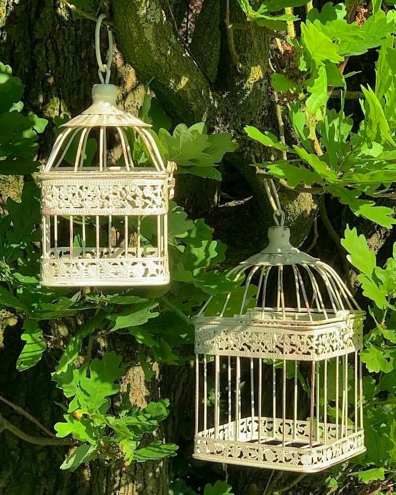 71 tCu6S15L. AC SL1000 .jpg