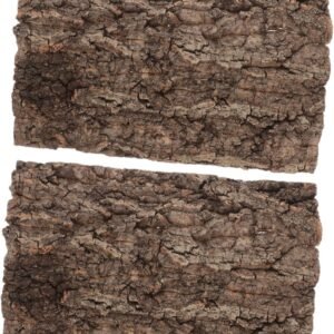 7119fMSLxnL. AC SL1257 .jpg