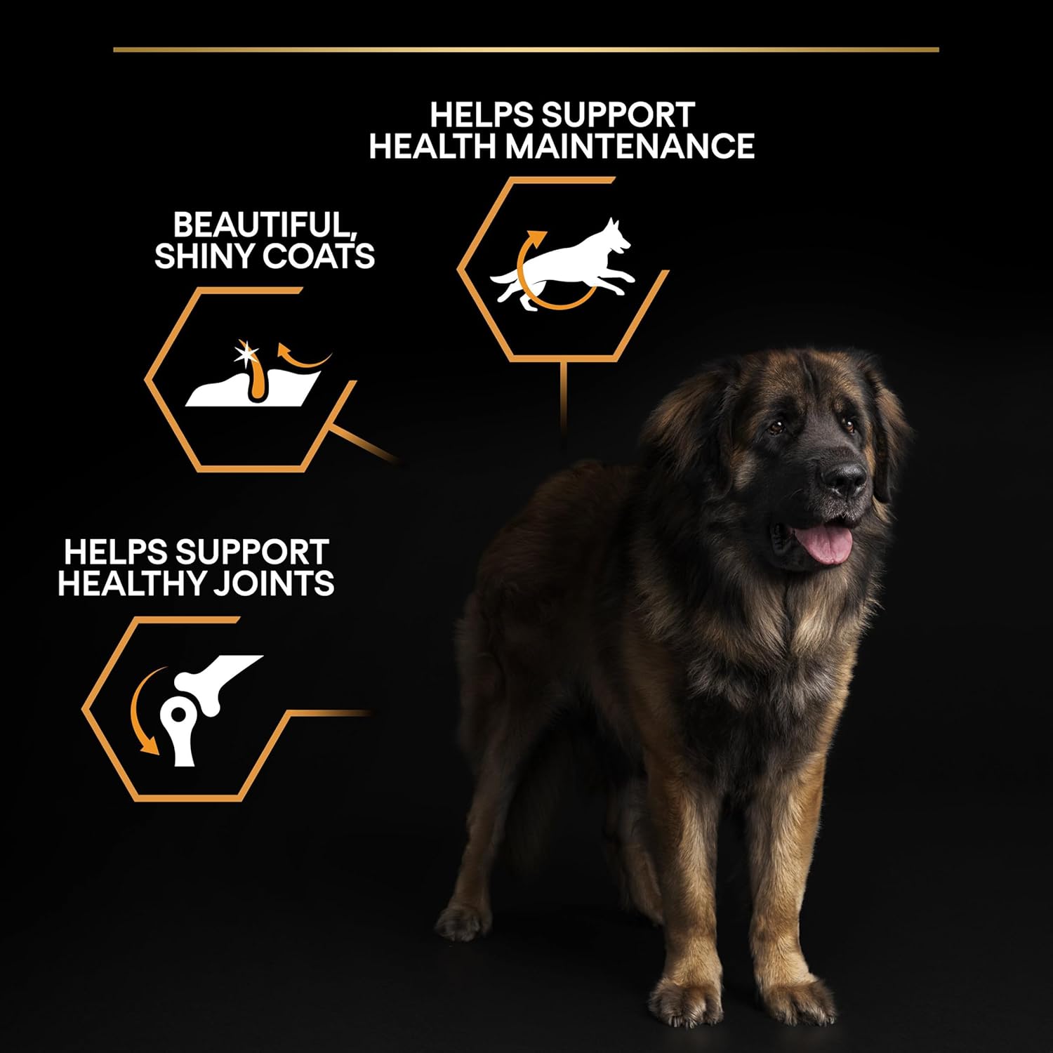 7152DO82UzL. AC SL1500 .jpg