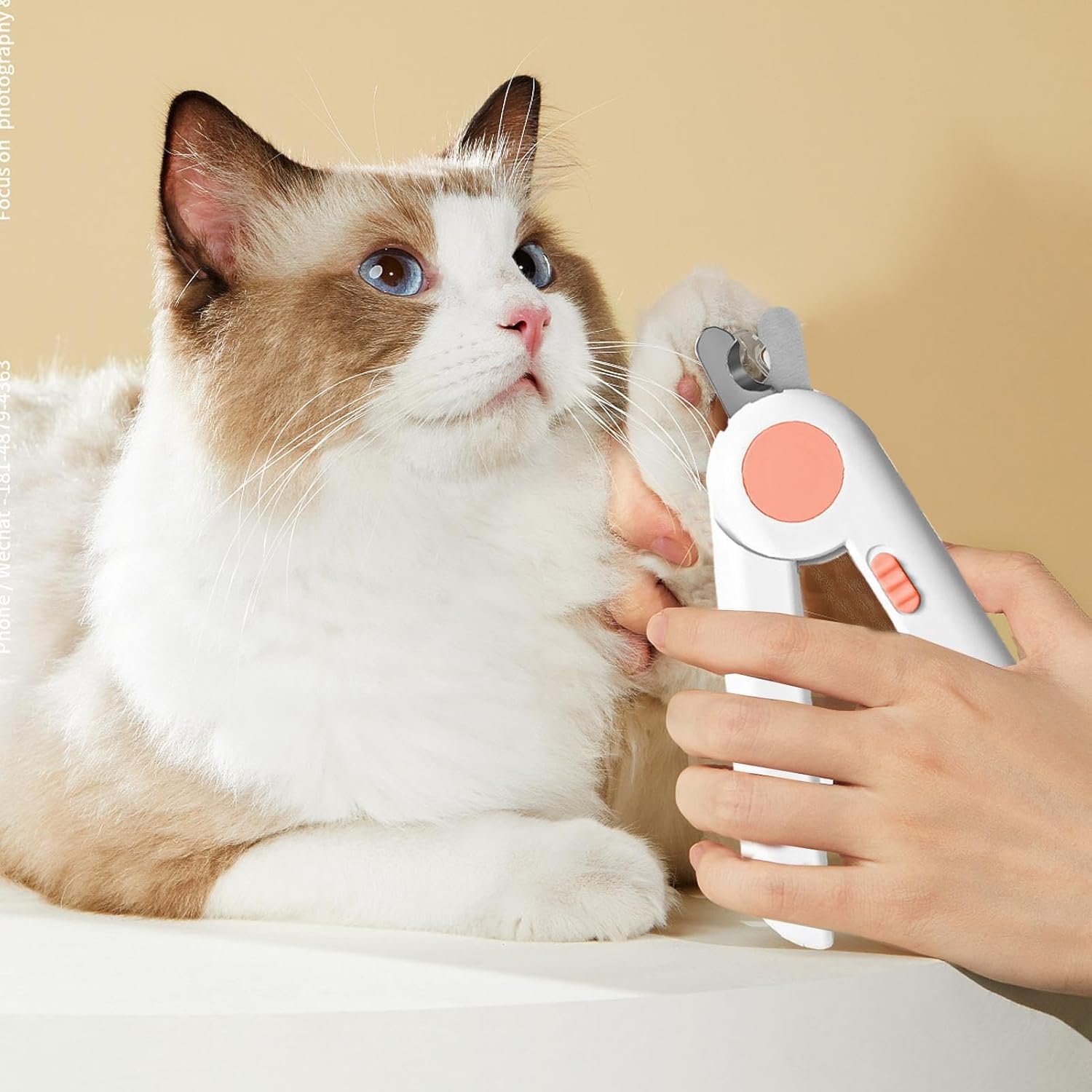 715wM2Hba8L. AC SL1500 .jpg