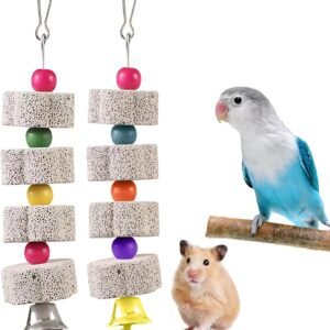 7167XB2I2dL. AC SL1500 .jpg