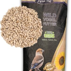 71ADQXpnlL. AC SL1500 .jpg