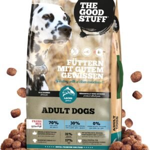 71BixVgbMsL. AC SL1500 .jpg