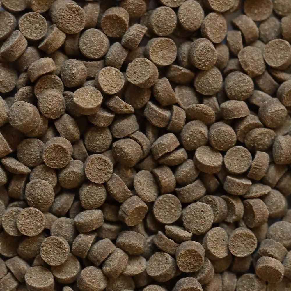 71DUjiJTcDL. SL1000 .jpg