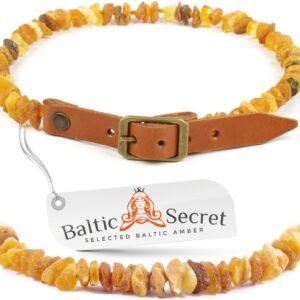 71EAvjMhu7L. AC SL1500 .jpg