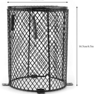 71MVGotUAdL. AC SL1001 .jpg