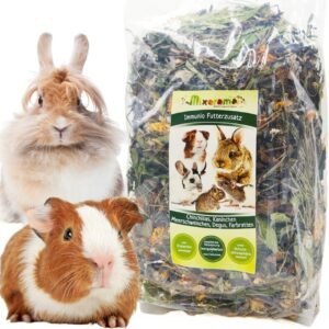 71NnPb5VPoL. AC SL1080 .jpg