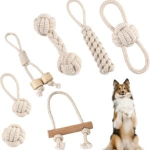 71P09WNwueL. AC SL1500 .jpg