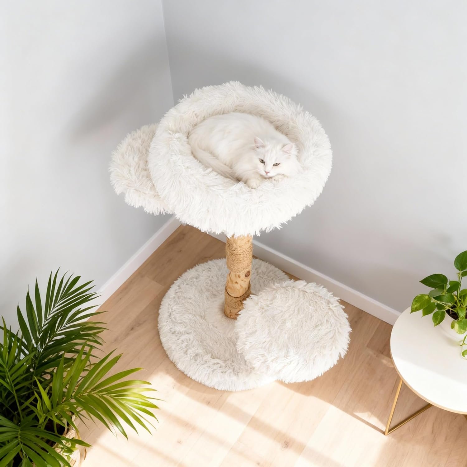 71SbBeRc47L. AC SL1500 .jpg