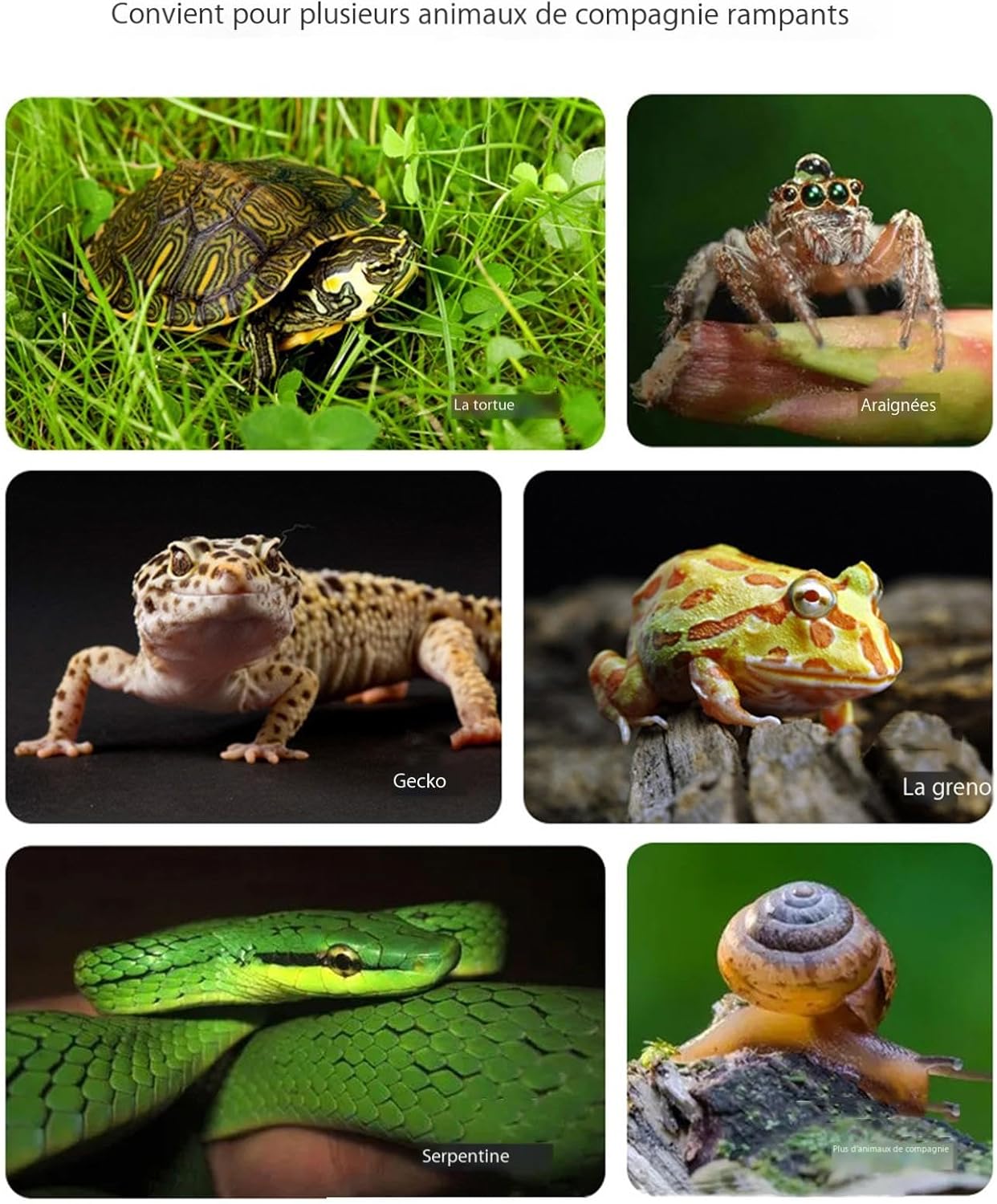 71TVcQDsN7L. AC SL1500 .jpg