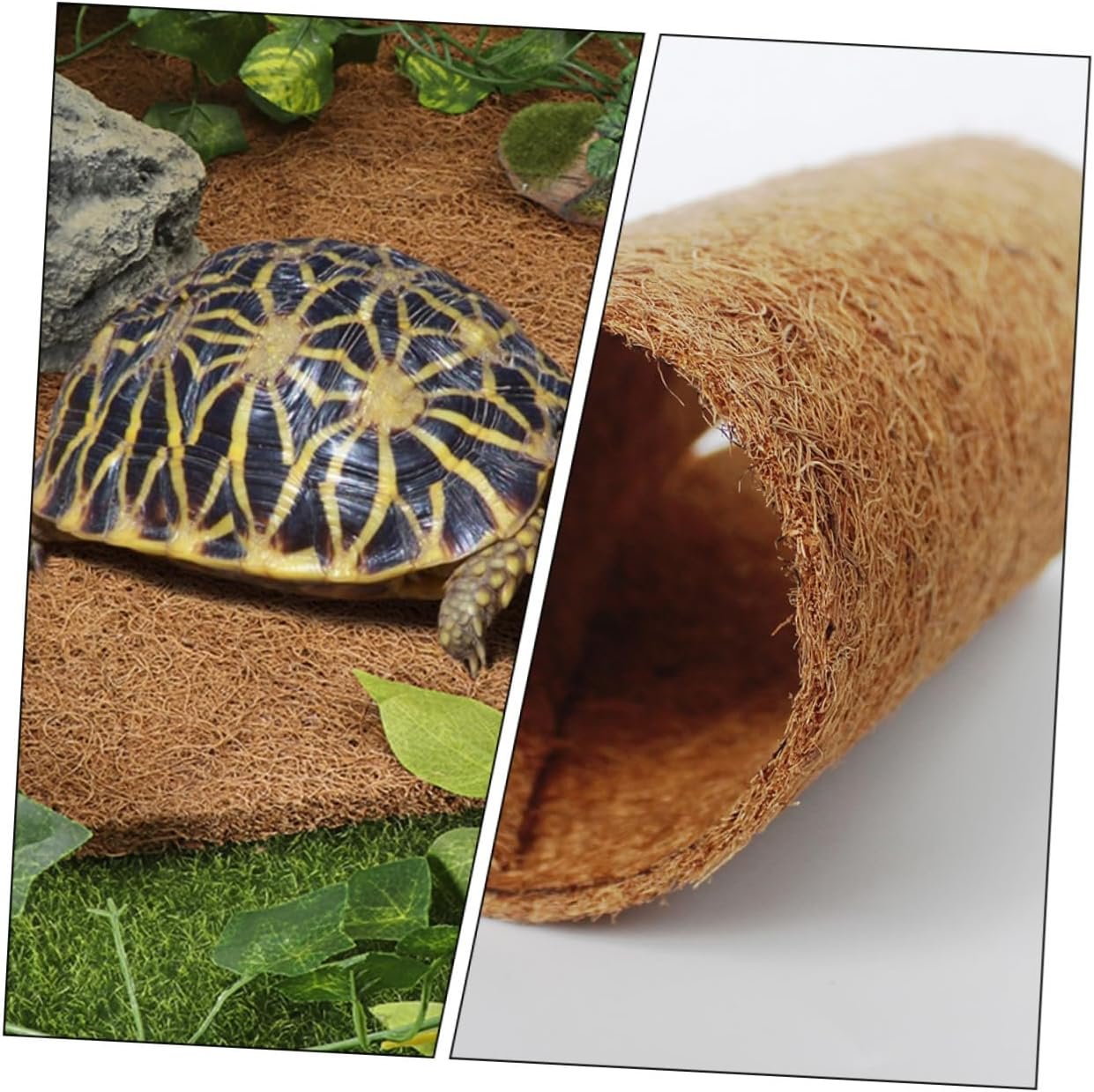 71TfHc3xLQL. AC SL1262 .jpg