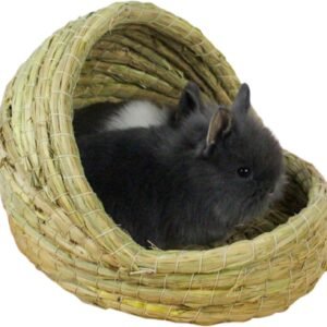 71UA850LqoL. AC SL1500 .jpg