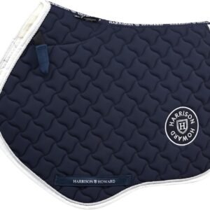 71UoqoucJ9L. AC SL1500 .jpg