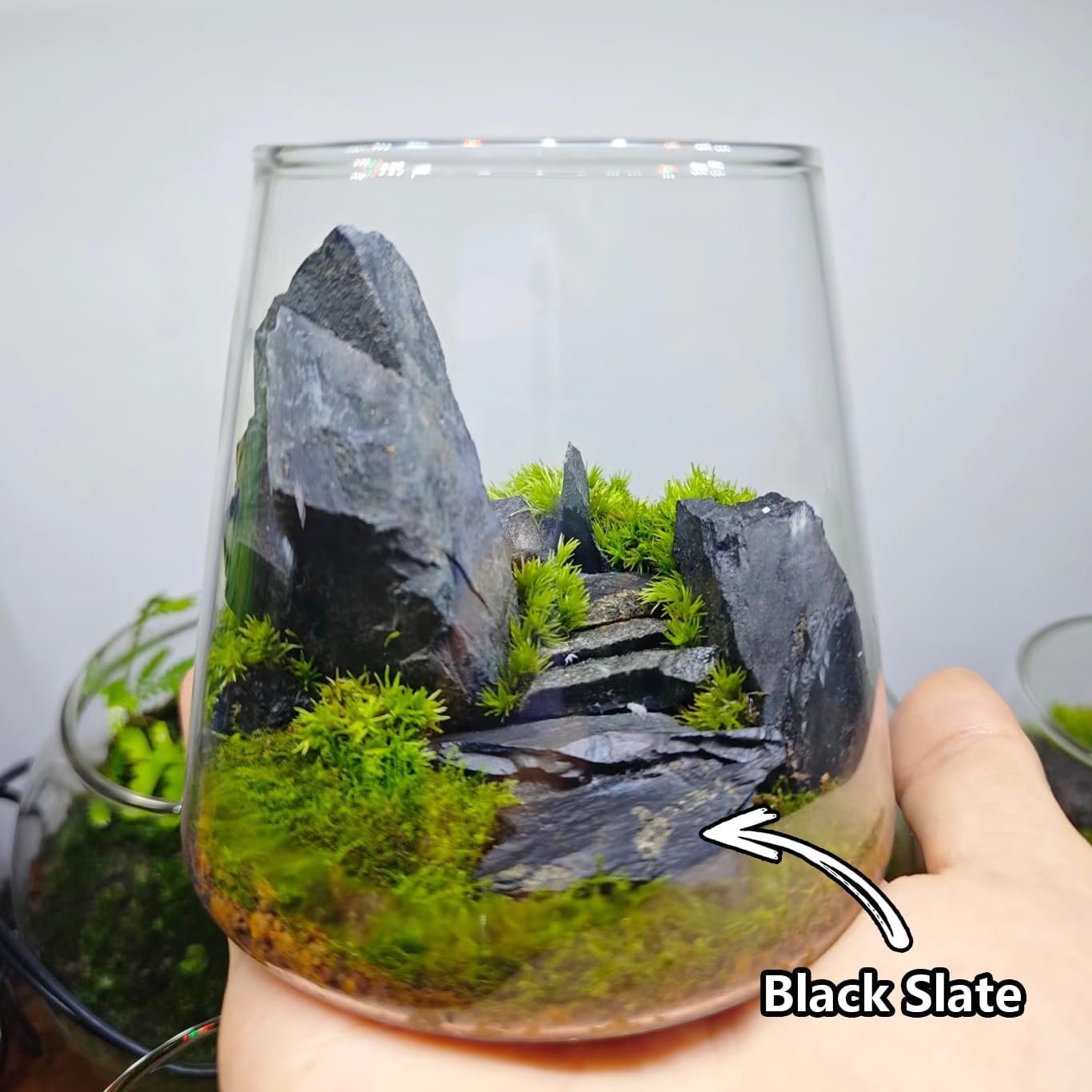 71VHVTEPZNL. AC SL1366 .jpg