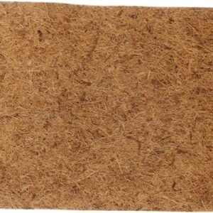 71VULaGygrL. AC SL1222 .jpg