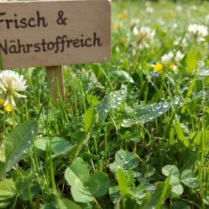 71ZIf1pheFL. AC SL1184 .jpg