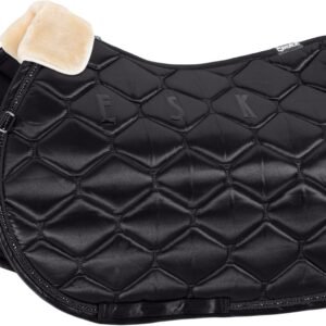 71bgT3QHKL. AC SL1500 .jpg