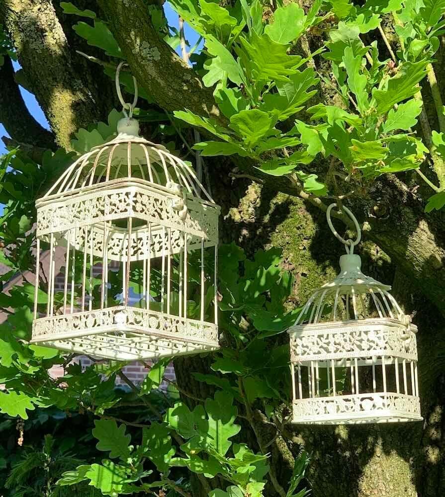 71bmpRkY7bL. AC SL1000 .jpg