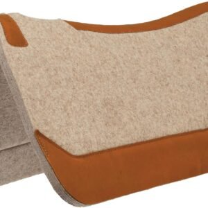 71bwRahbKTL. AC SL1500 .jpg