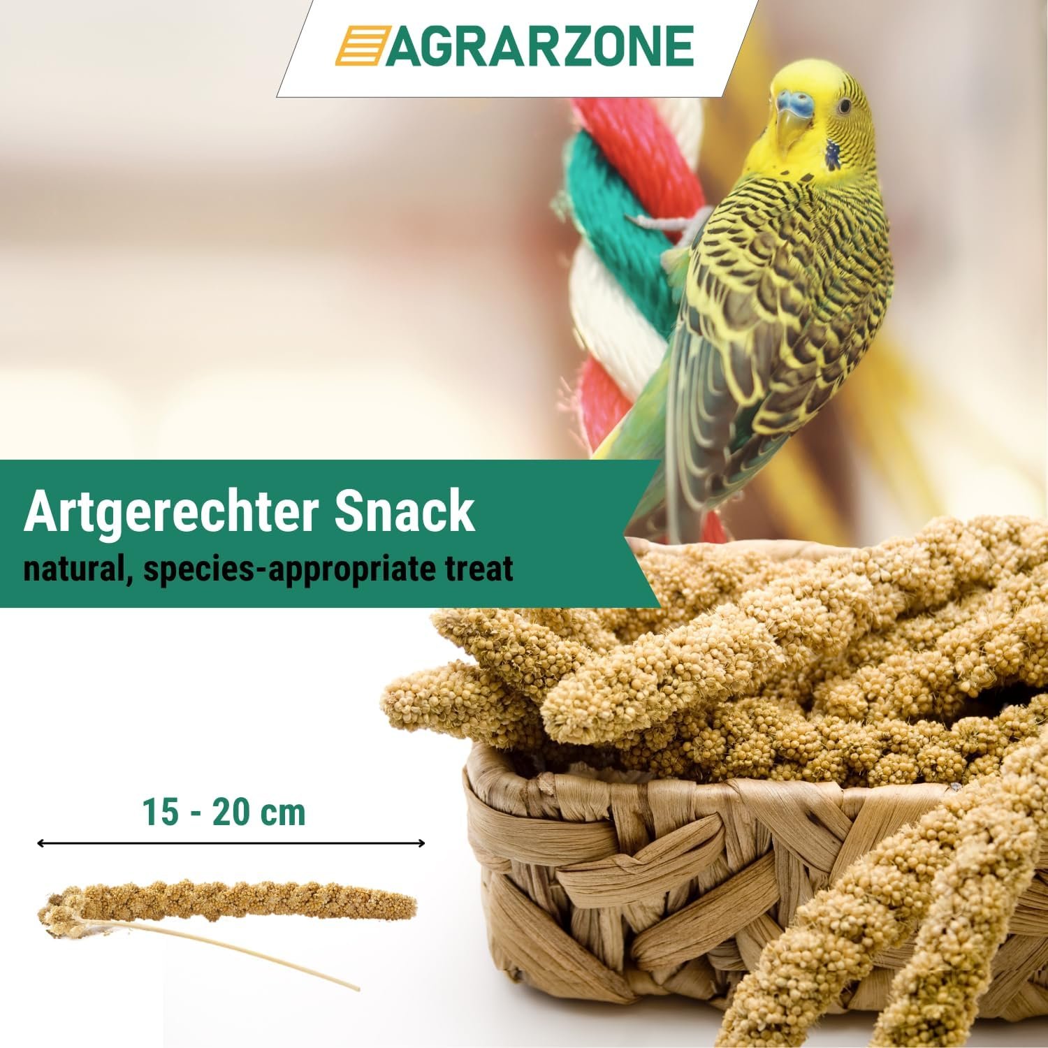 71g48XazVYL. AC SL1500 .jpg