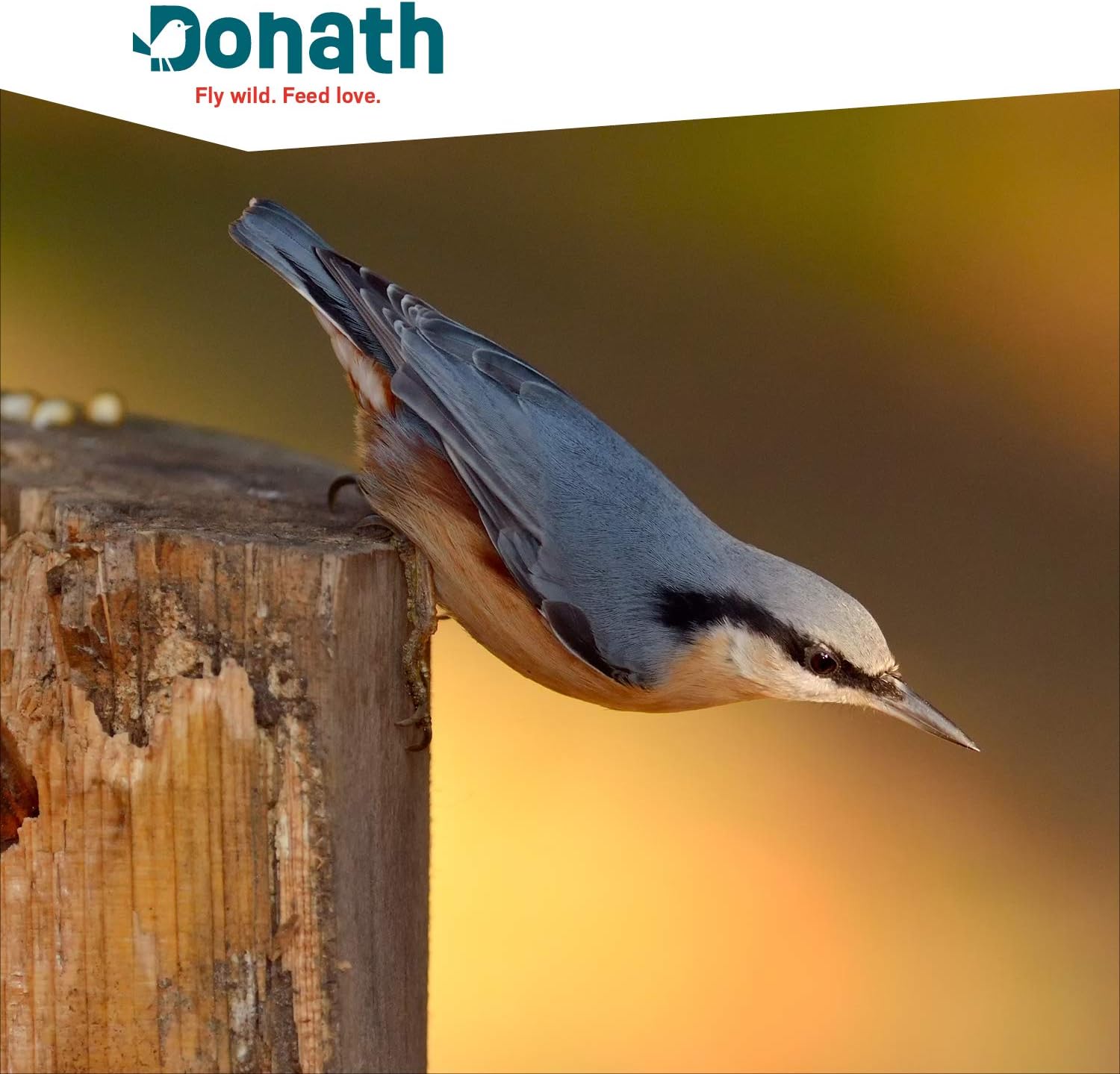 71ivINYVsgL. AC SL1500 .jpg