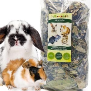 71lfTEOiaVL. AC SL1080 .jpg