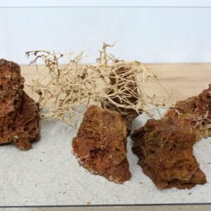 71moGqH1nL. AC SL1000 .jpg