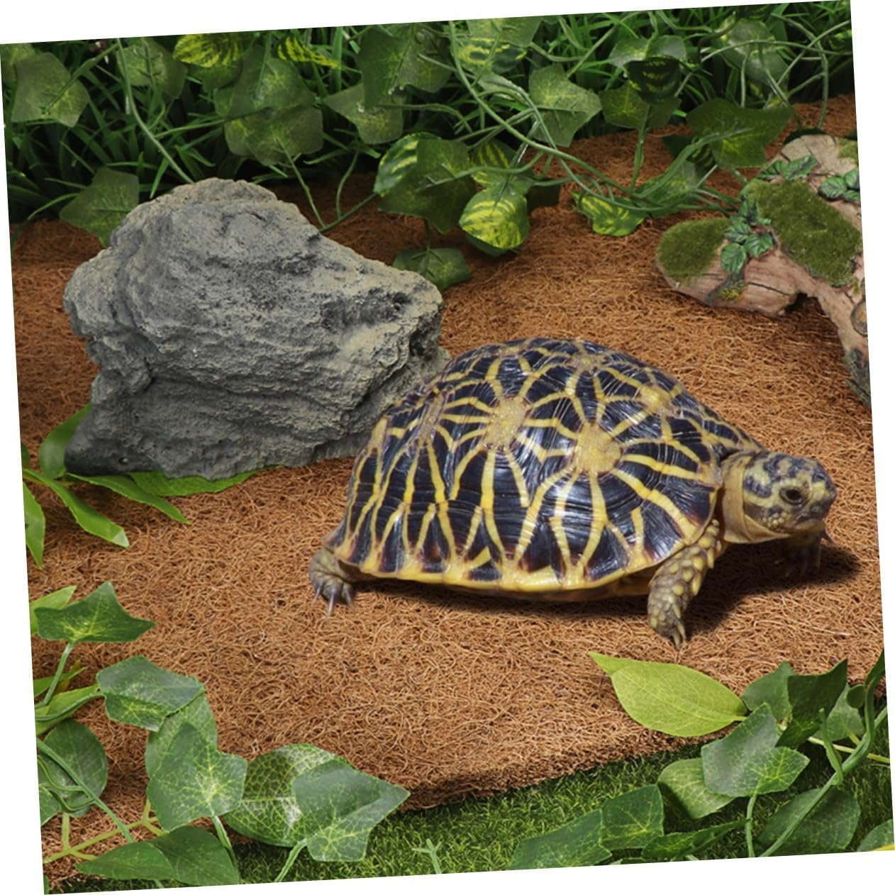 71nCKzqBCPL. AC SL1262 .jpg